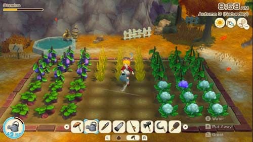 Download Story of Seasons Grand Bazaar NSP screenshot