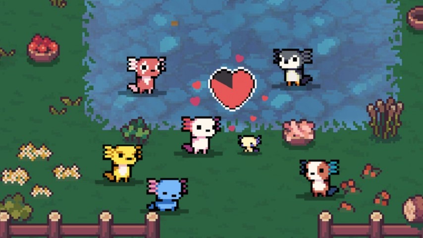 AK-xolotl NSP screenshot